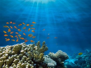 Fiji hava tahmini