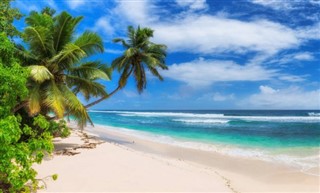 Fiji weather forecast