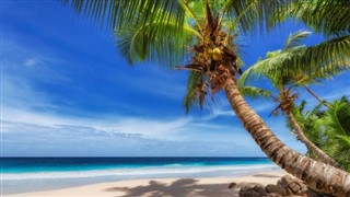 Fiji vejrudsigt