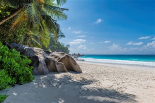 Fiji vejrudsigt
