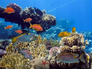 Fiji hava tahmini