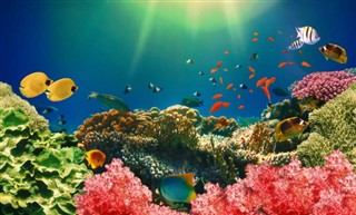 Fiji hava tahmini