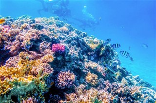 Fiji hava tahmini