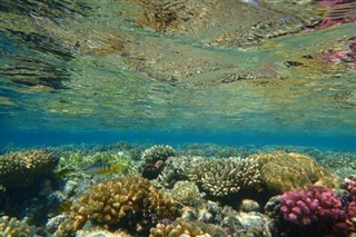Fiji vejrudsigt