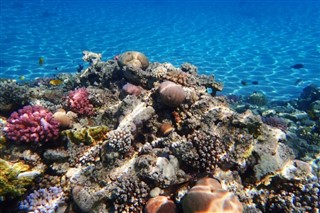 Fiji vejrudsigt