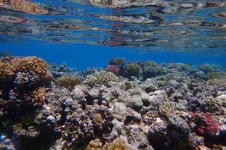 Fiji vejrudsigt