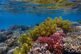 Fiji hava tahmini