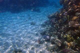 Fiji vejrudsigt