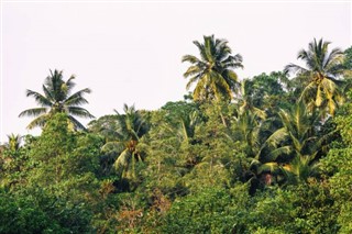 Fiji hava tahmini