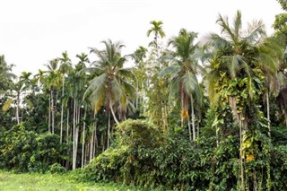 Fiji Weersverwachting