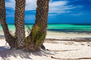 Fiji Hava tahmini