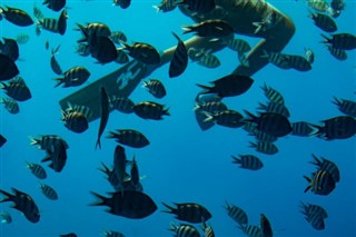 Fiji hava tahmini