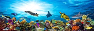 Fiji hava tahmini