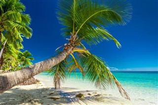 Fiji Hava tahmini