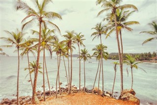 Fiji vejrudsigt