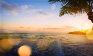 Fiji vejrudsigt
