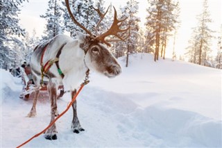 Finlande prévisions météorologiques