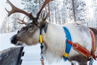 Finland vejrudsigt