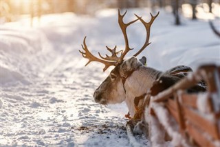 Finland vejrudsigt