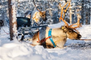 Finlandiya hava tahmini