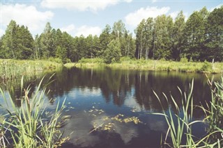 Finland vejrudsigt