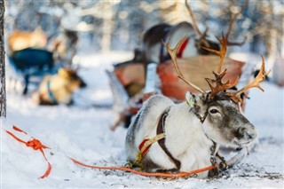 Finlandiya hava tahmini