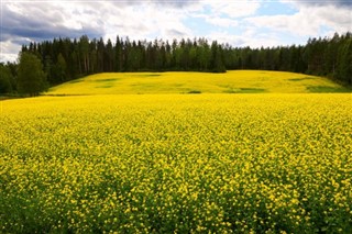 Finland vejrudsigt
