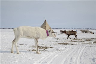 Finlandiya hava tahmini