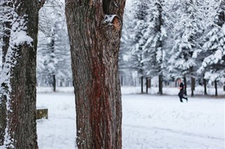 Finlandiya hava tahmini