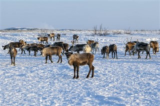 Finlandiya hava tahmini