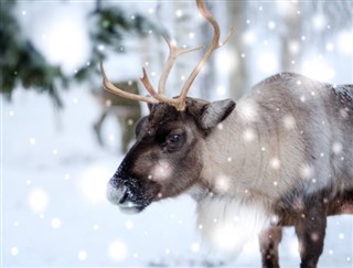 Finlandiya Hava tahmini