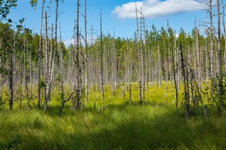 Finland vejrudsigt