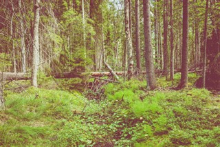 Finlandiya hava tahmini