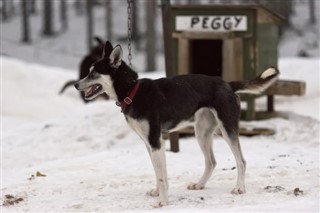 Finland vejrudsigt