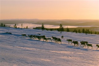 Finland vejrudsigt