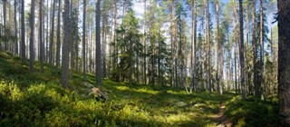 Finlandiya hava tahmini