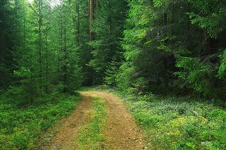 Finlandiya hava tahmini