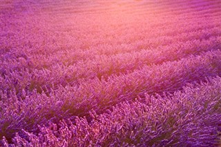 フランス 天気予報
