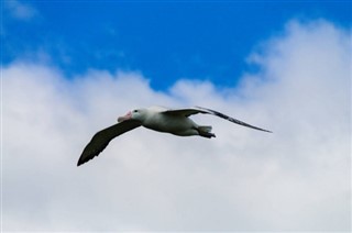 Franske Sydlige Territorier vejrudsigt