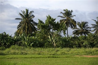 Gabon hava tahmini