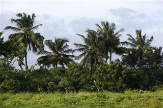Gabon hava tahmini