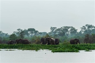 Gabon hava tahmini
