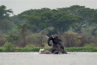 Gabon hava tahmini