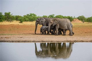 Gabon vejrudsigt