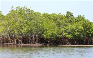 Gambia időjárás-jelentés