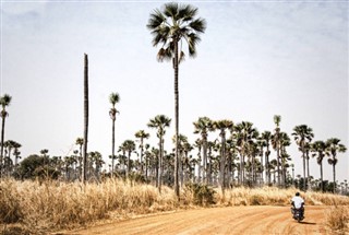 Gambiya hava tahmini