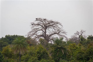Gambia időjárás-jelentés