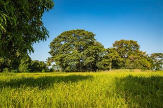 Gambia időjárás-jelentés
