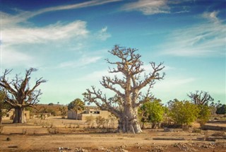 Gambia vejrudsigt