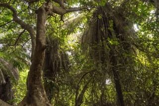 Gambia vejrudsigt